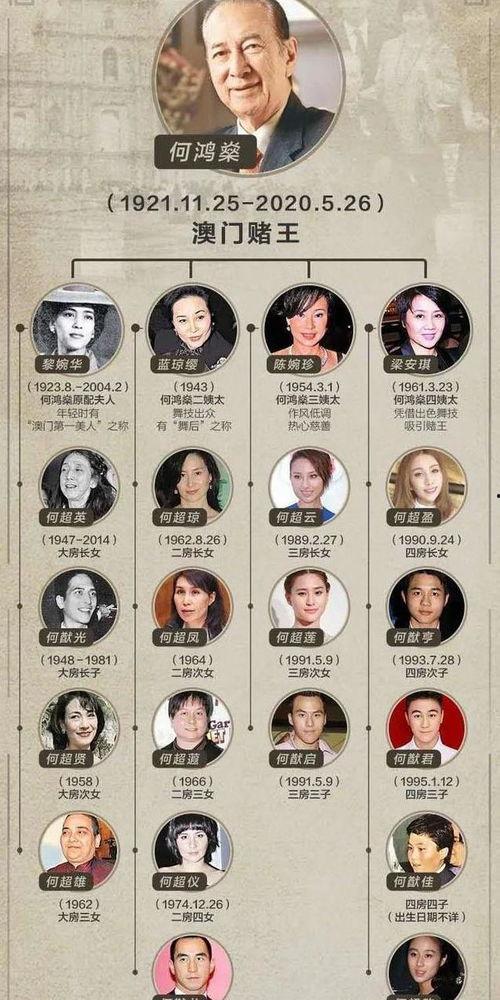 爆料王家的视频大全,视频大全背后的惊人真相